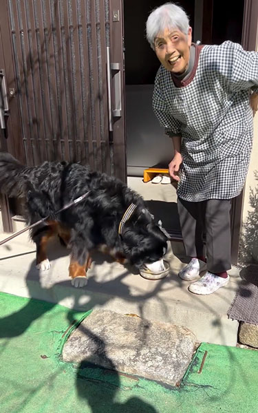 お芋を食べるデカワンコ