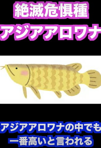 絶滅危惧種アジアアロワナ