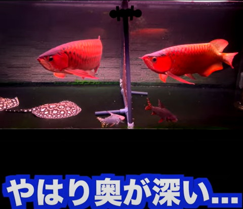 やはり奥が深い