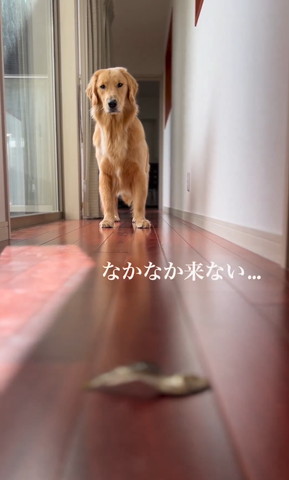 なかなか来ない