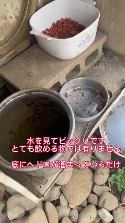 ヘドロがたまった水