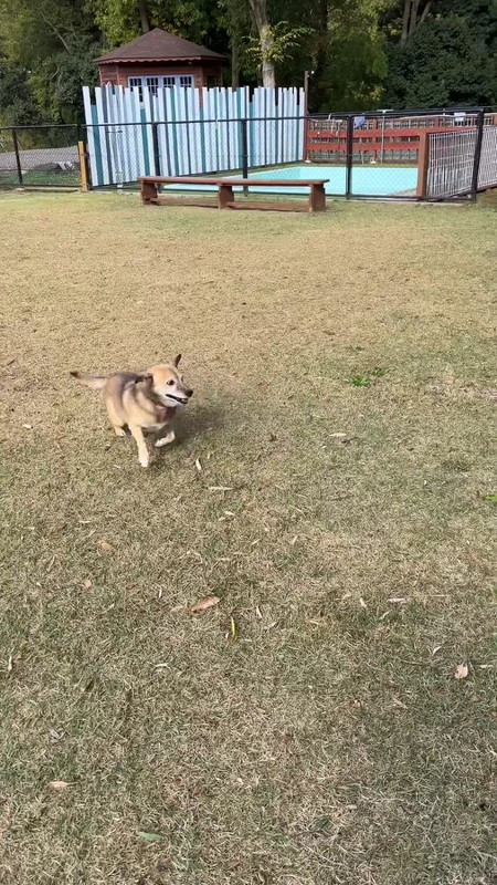 コロちゃんと飼い主のタチバナさん