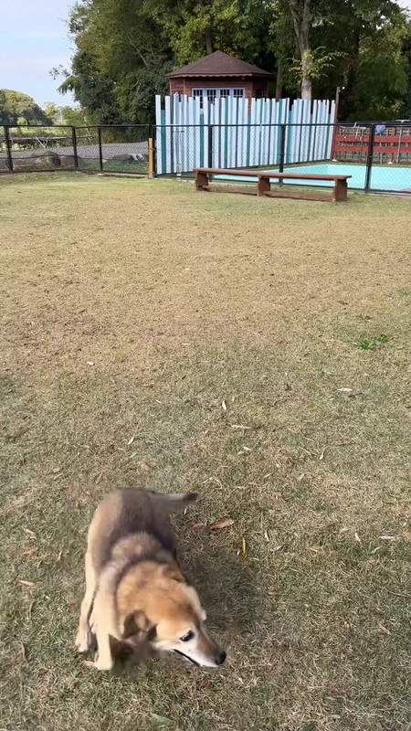 コロちゃんと飼い主のタチバナさん