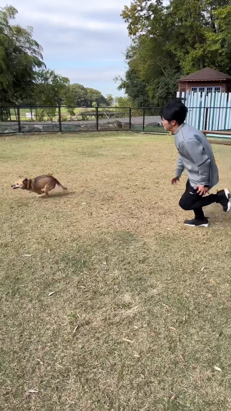 追いつけないタチバナさん