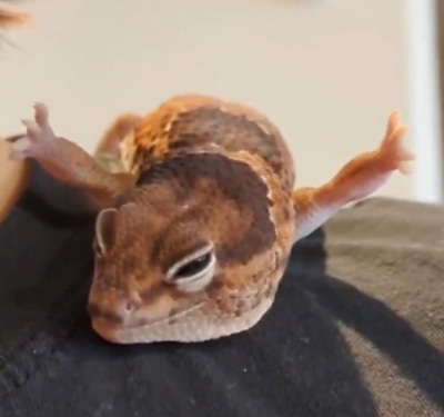 45度くらいトリミング