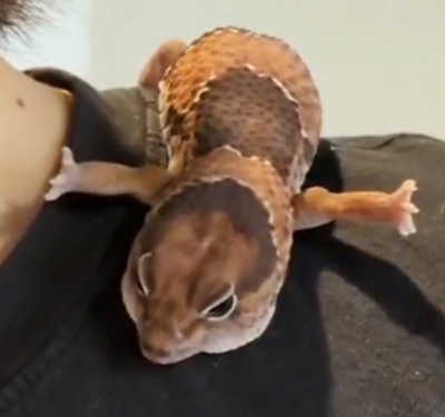 30度くらいトリミング