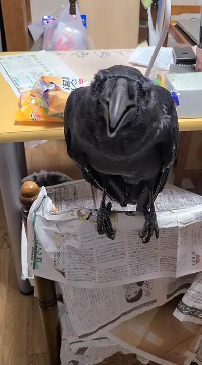 正面ハッピーさん