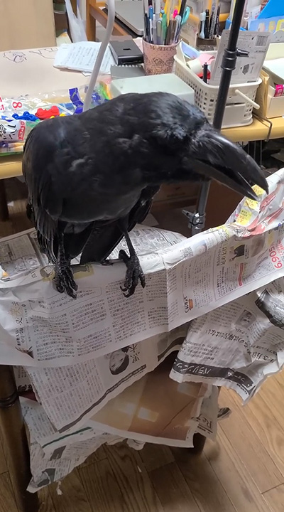 右向きハッピーさん