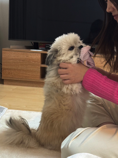 怒られて寝たふりをするワンコ