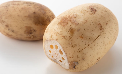 おせち・お正月食材の冷凍保存方法