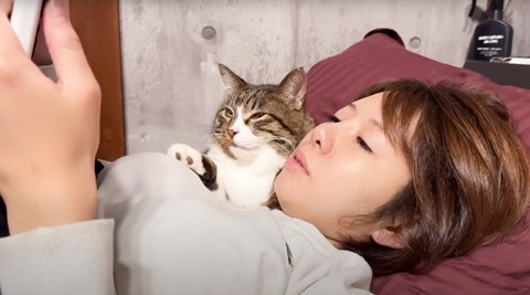 ママとスイカゲーム見る猫