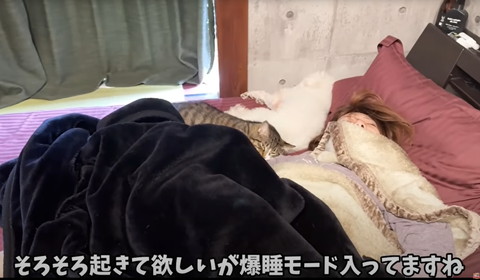 そろそろ起きて欲しいが爆睡モード