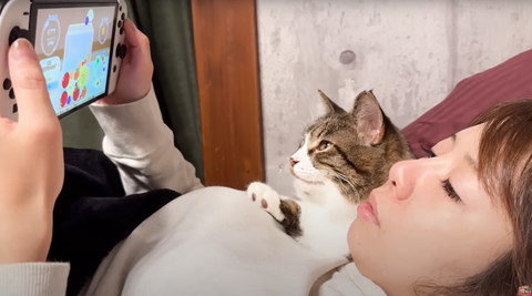 ママとスイカゲーム見る猫横からの画像