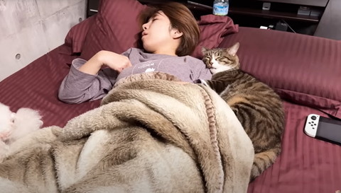 抱き付いて寝てる猫