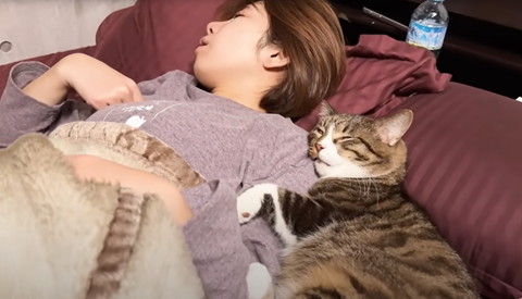 抱き付いて寝てる猫アップ
