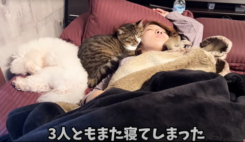 3人ともまた寝てしまった