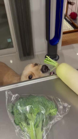 つまみ食いするそらちゃん