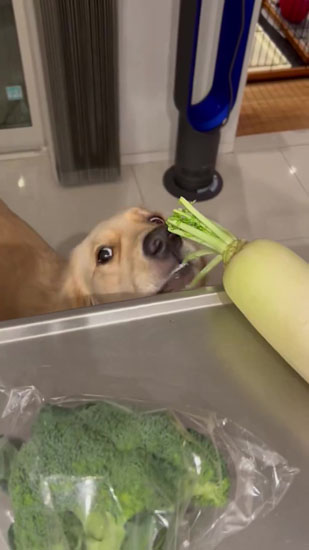 イタズラの自覚あるそらちゃん