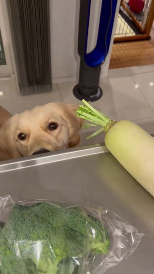 視線に気付くそらちゃん