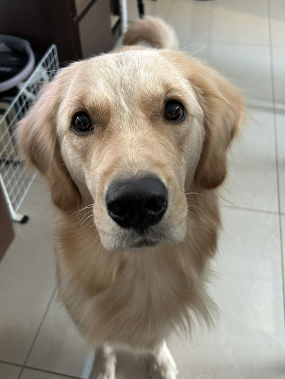 おねだりするそらちゃん