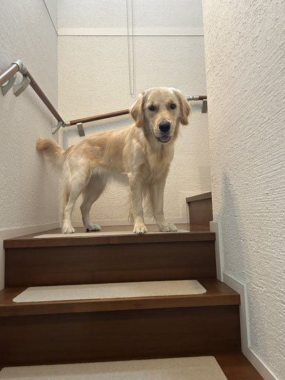 階段をのぼるそらちゃん