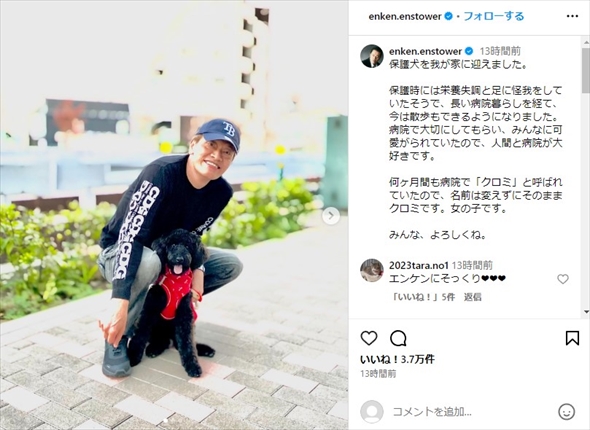 保護犬を家族に迎えた遠藤憲一