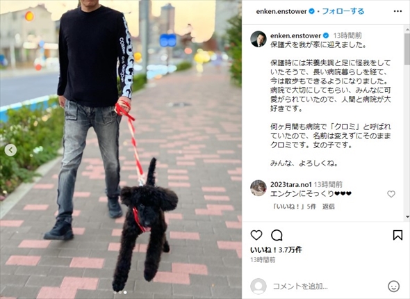 保護犬を家族に迎えた遠藤憲一