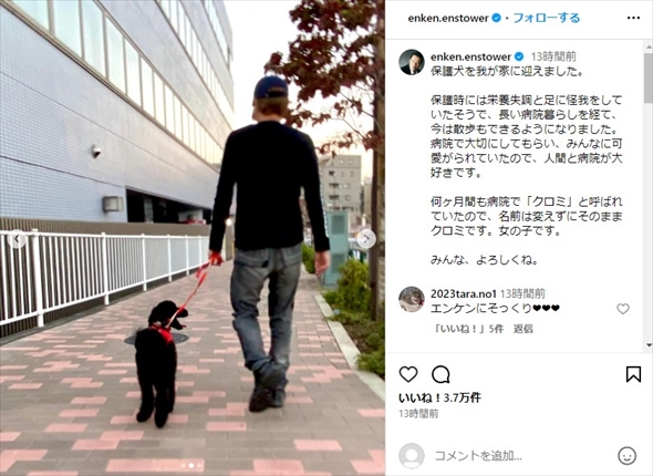 保護犬を家族に迎えた遠藤憲一