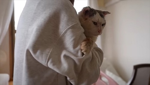 抱っこされるぐーちゃん