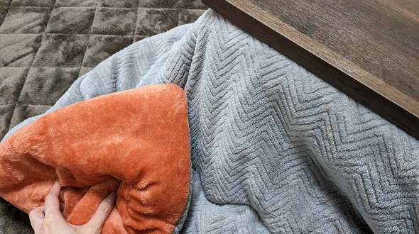 こたつ布団 鮭 シャケ 似てる リバーシブル オレンジ 銀色 皮 色合い 息子 呼び方