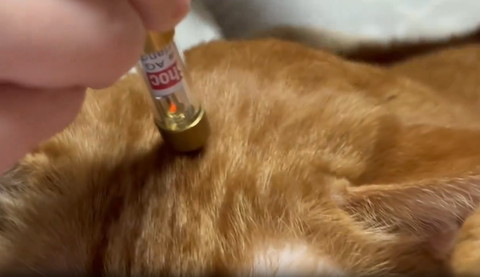 光るスティック