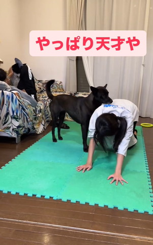 娘さんの背中にワンコの顏