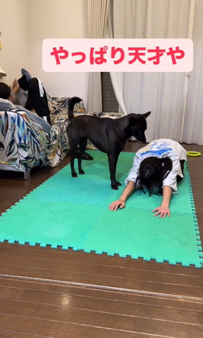 ストレッチする娘さんを見るワンコ