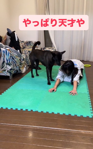 娘さんと見つめ合うワンコ