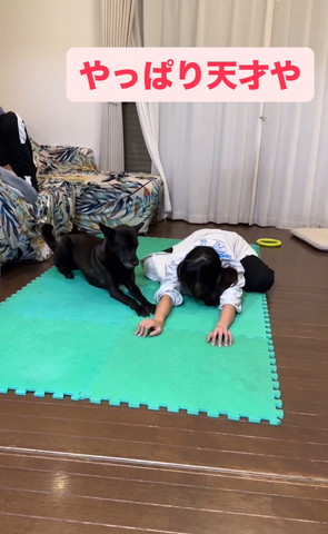 伏せするワンコ