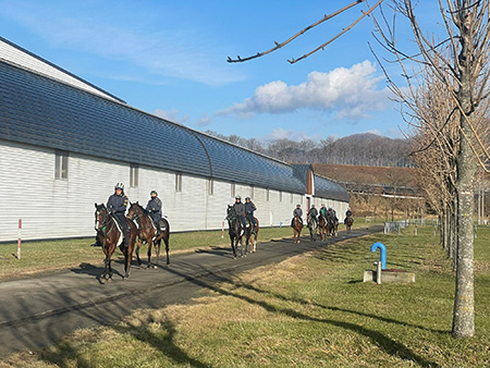 前に進む馬たち