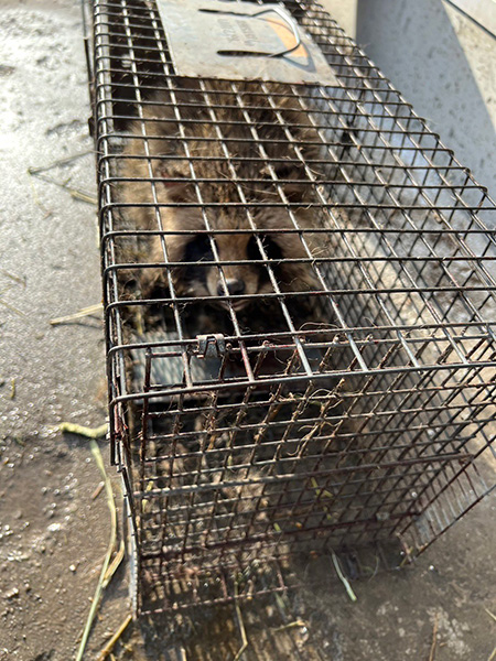 簡単につかまる