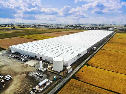 セブン-イレブン リーフレタス 農場 宮城県 美里町 大崎 上空から ピンク色 美里グリーンベース LED 栽培