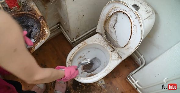 掃除 クリーニング ビフォアフ