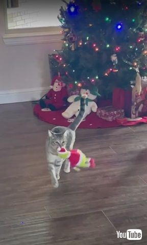 グリンチを盗む猫