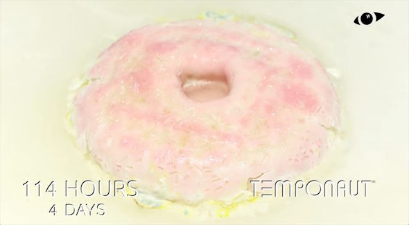 ドーナツ　カビ　タイムラプス