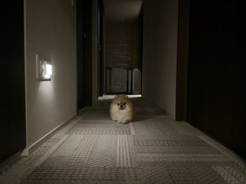 立ちふさがるミサイルちゃん