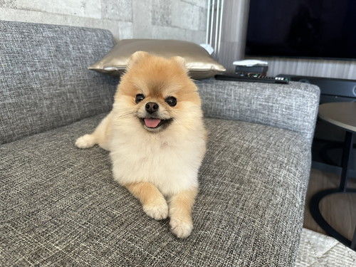 ミサイルちゃん