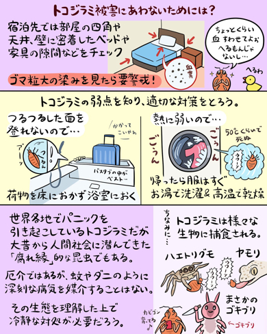 トコジラミの対処法