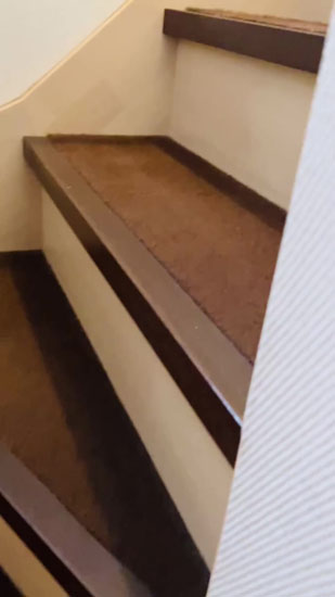 映し出される階段