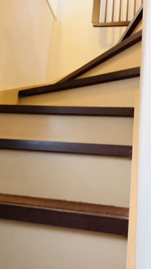 コメちゃんとイクラちゃんにせまるカメラ