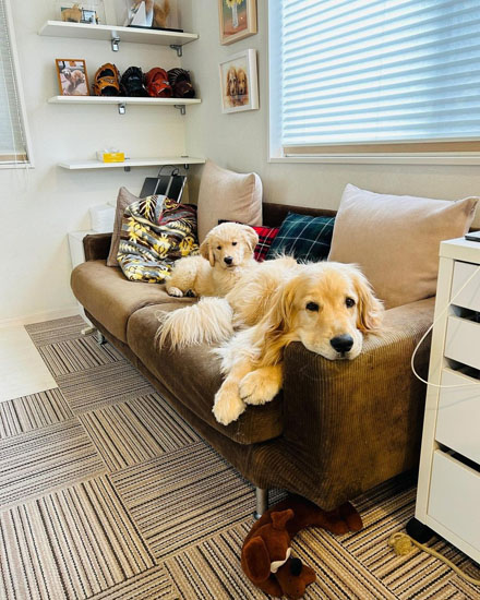 くつろぐコメちゃんとイクラちゃん