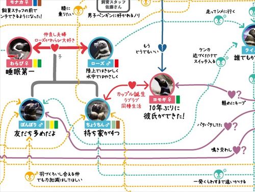 すみだ水族館ペンギン相関図