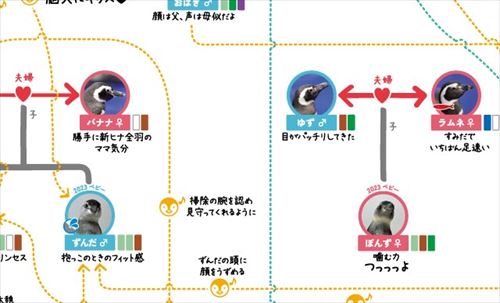 すみだ水族館ペンギン相関図
