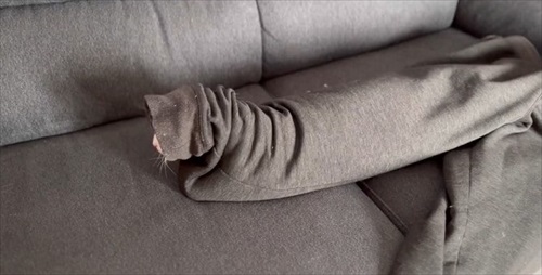 脱ぎたてのズボンに謎の生物